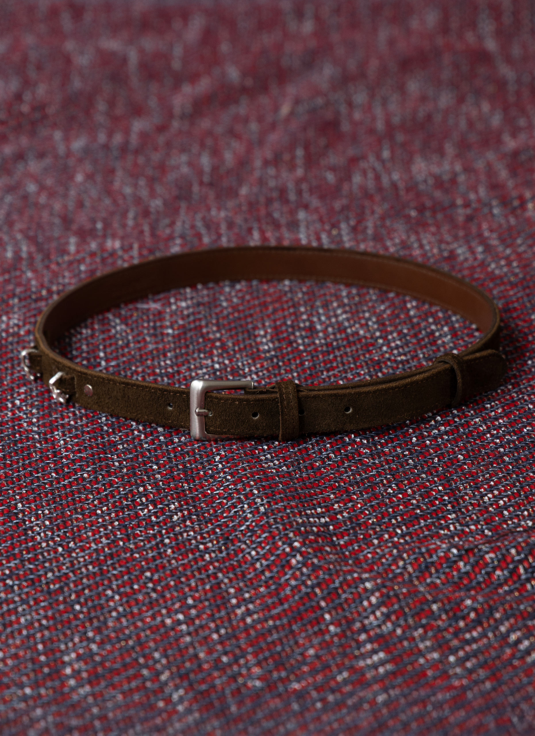 Sea Anemones Belt